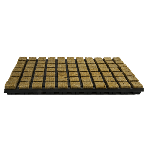 Grodan Tray SBS 36/77 (1386st/karton)