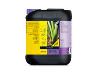 Atami/Bcuzz 1-component 5 L