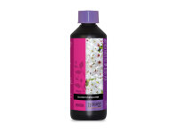 Atami/Bcuzz Bloom Stimulator 500 ml