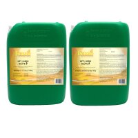 Ferro NFT/Aero Blüte A&B 10 L