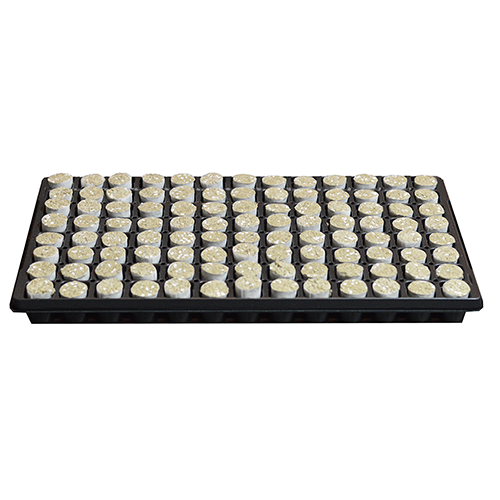 Paperplug 104st/Tray   (Karton)