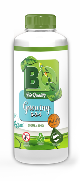 BQ Growing 250 ml