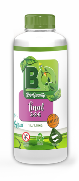 BQ Final 1 L