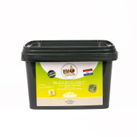BioTabs Silicium Flash 1,25 kg